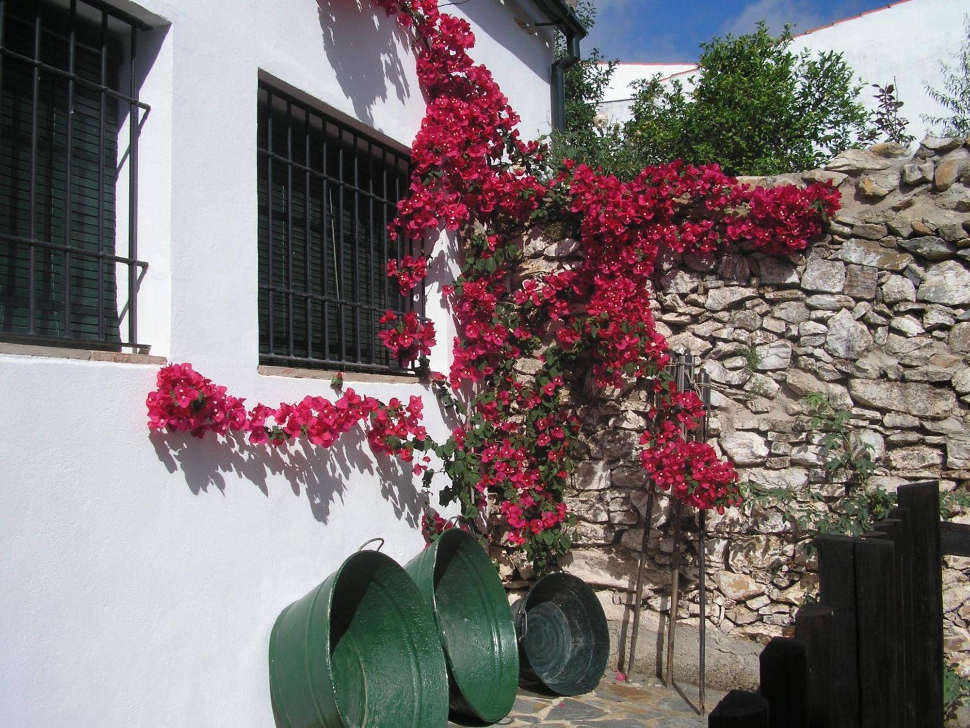 Casa Rural Y Restaurante Casa Adriano Guest House Alanís Exterior photo